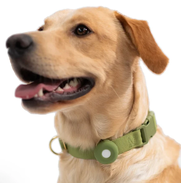 Airtag holder for dog collar by Awoo Pets