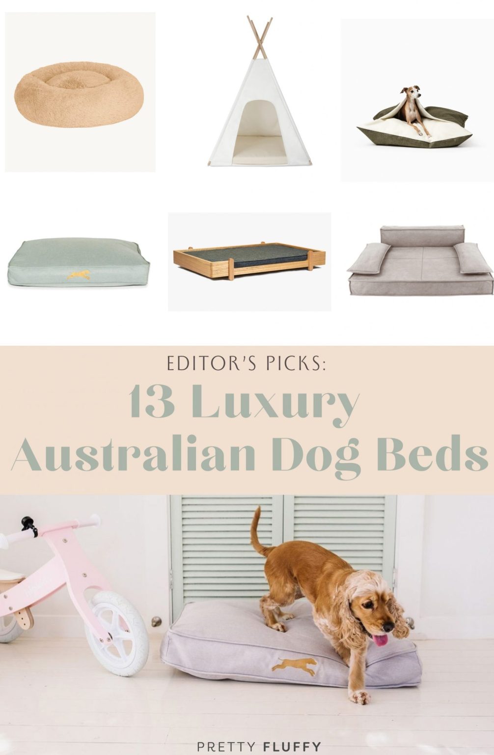 13 Luxury Dog Beds in Australia for Pampered Pooches (2024)