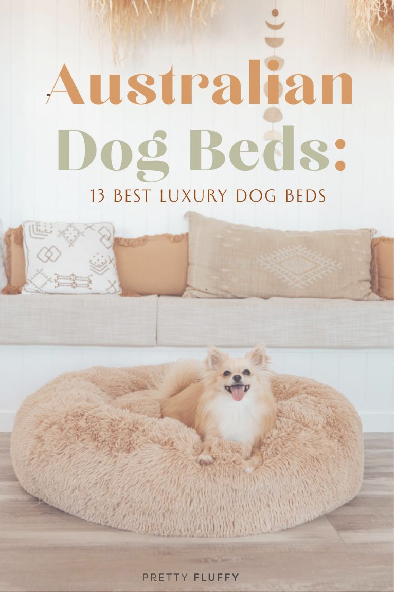 Australian Dog Beds 13 Best Luxury Dog Beds Pretty Fluffy