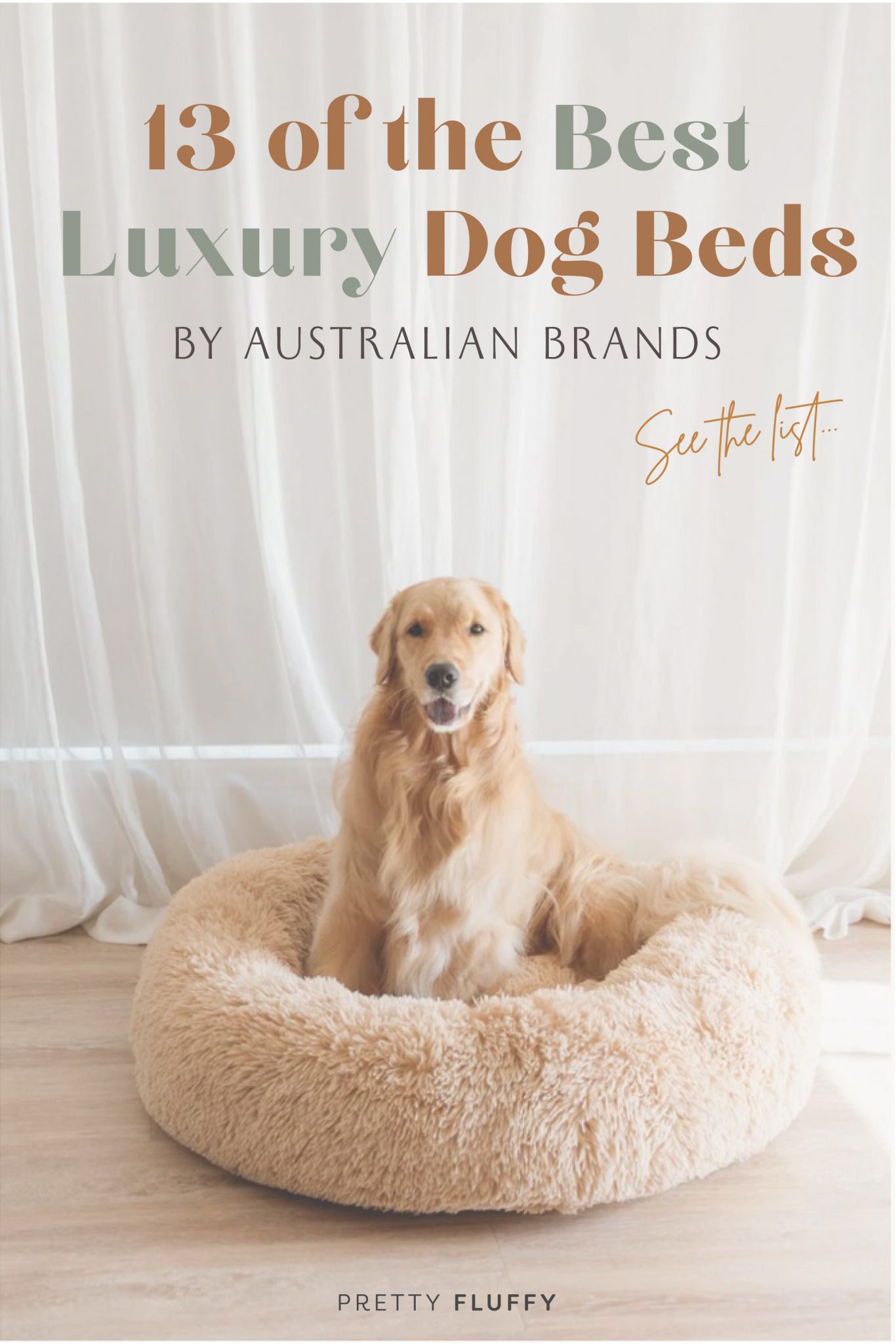 13 Luxury Dog Beds in Australia for Pampered Pooches (2024)