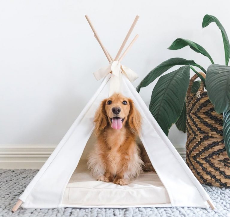 Australian Dog Beds 13 Best Luxury Dog Beds Pretty Fluffy