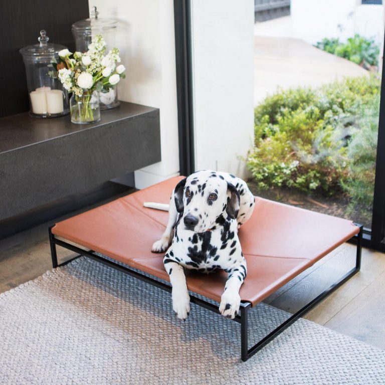 13 Luxury Dog Beds in Australia for Pampered Pooches (2024)