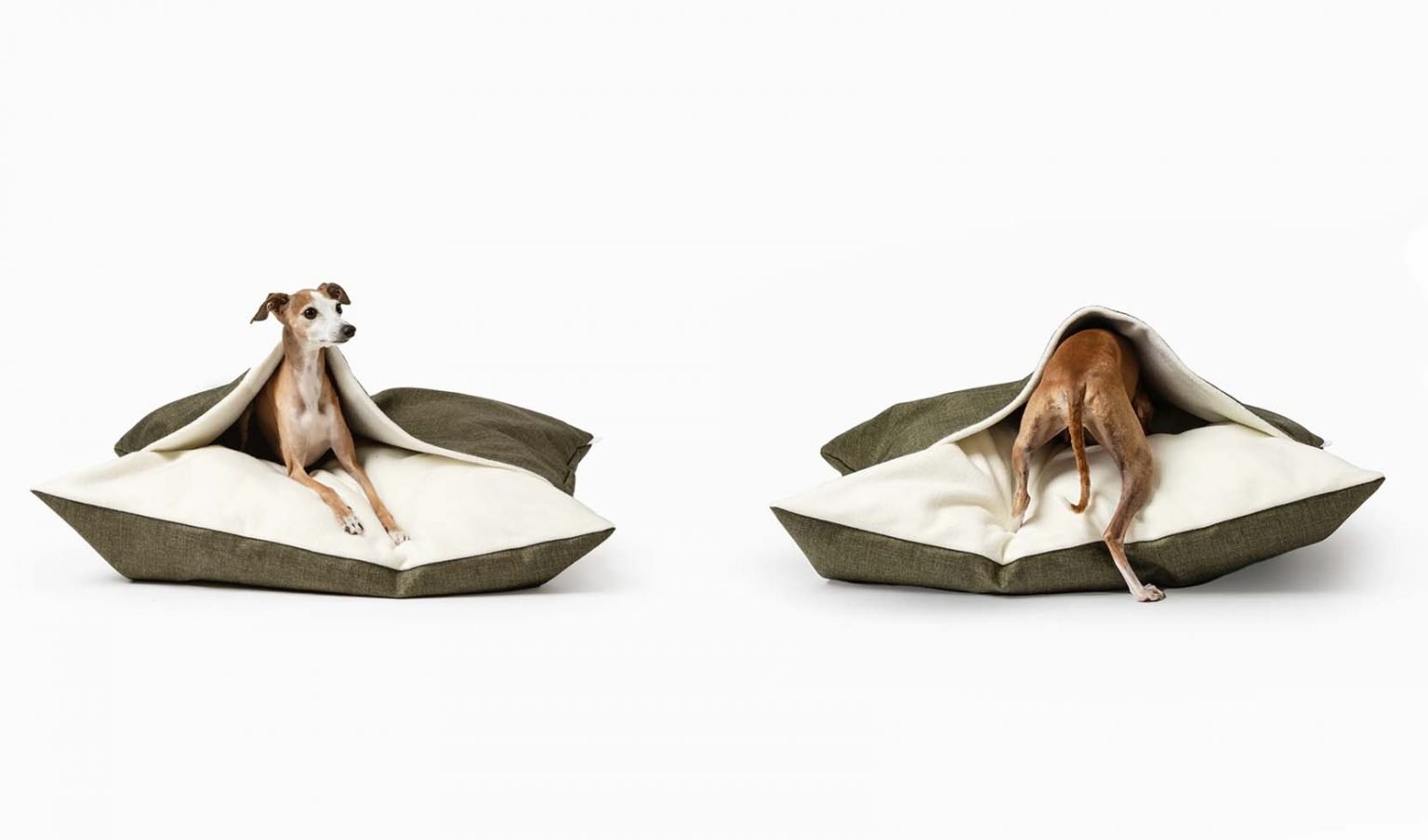 13 Luxury Dog Beds in Australia for Pampered Pooches (2024)