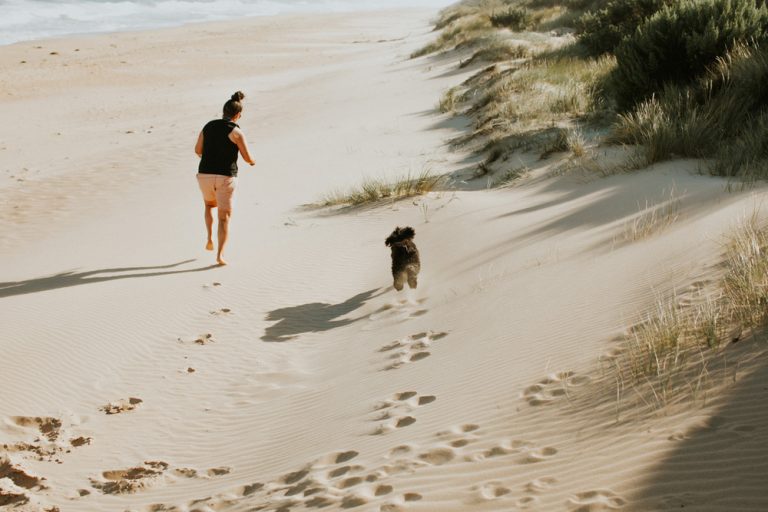 DogFriendly Beaches Gippsland The Ultimate Guide Pretty Fluffy