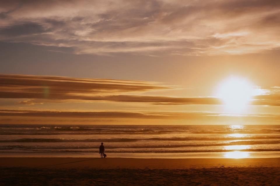 Pet Friendly Gippsland - Pretty Fluffy Travel_-141