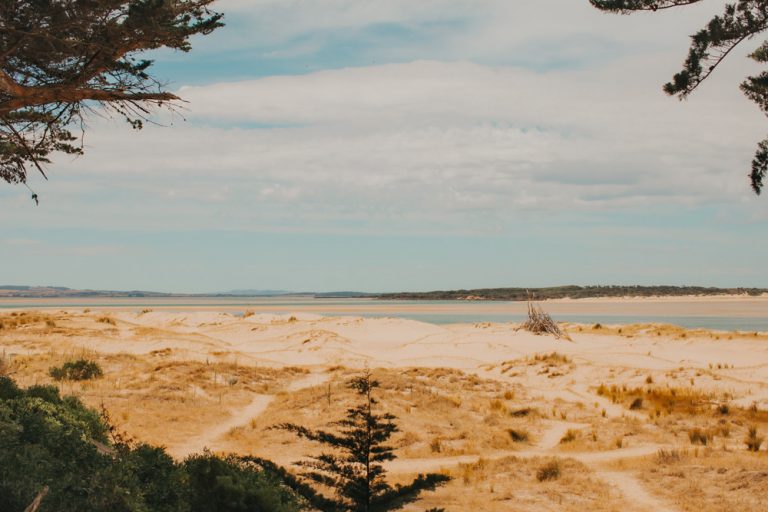 DogFriendly Beaches Gippsland The Ultimate Guide Pretty Fluffy