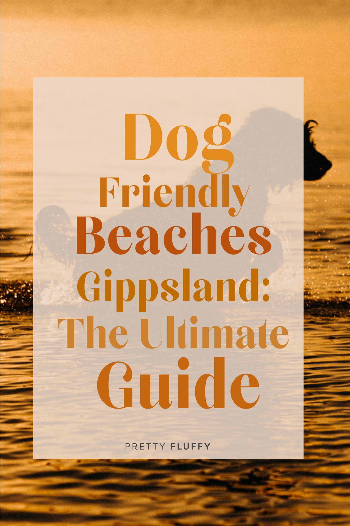 DogFriendly Beaches Gippsland The Ultimate Guide Pretty Fluffy