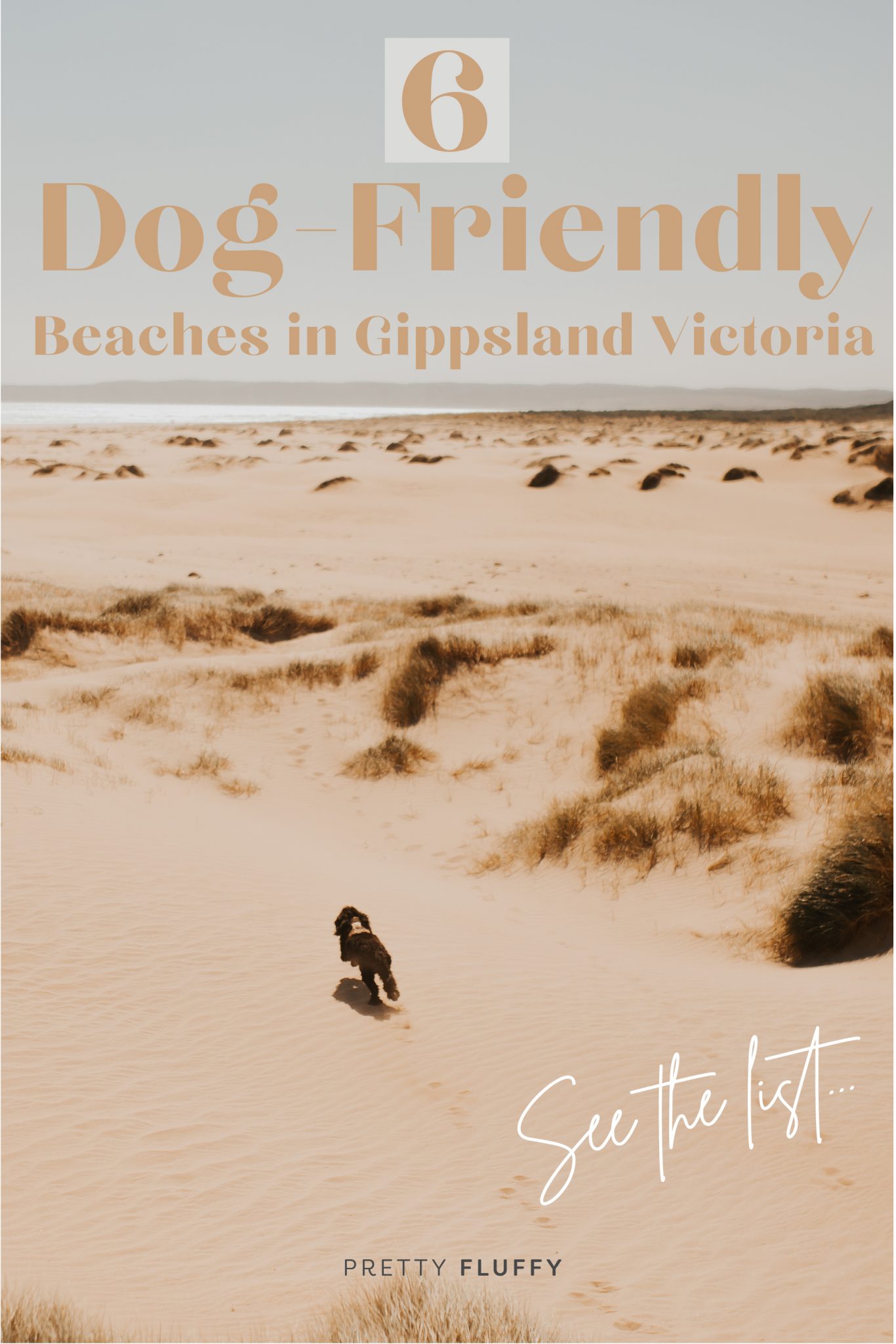 DogFriendly Beaches Gippsland The Ultimate Guide Pretty Fluffy