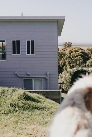 Gippsland pet friendly beaches