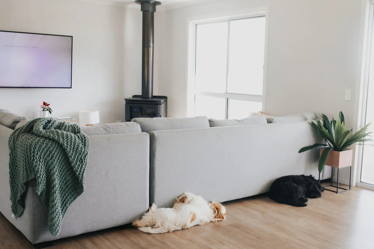 Two dogs sleeping on the floor behind a grey couch in a cozy pet-friendly holiday home in Venus Bay.