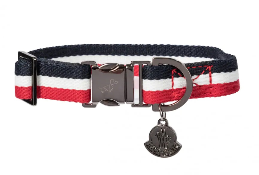 Moncler Genius Dog Collar | 14 Luxury Dog Collars By High-End Brands