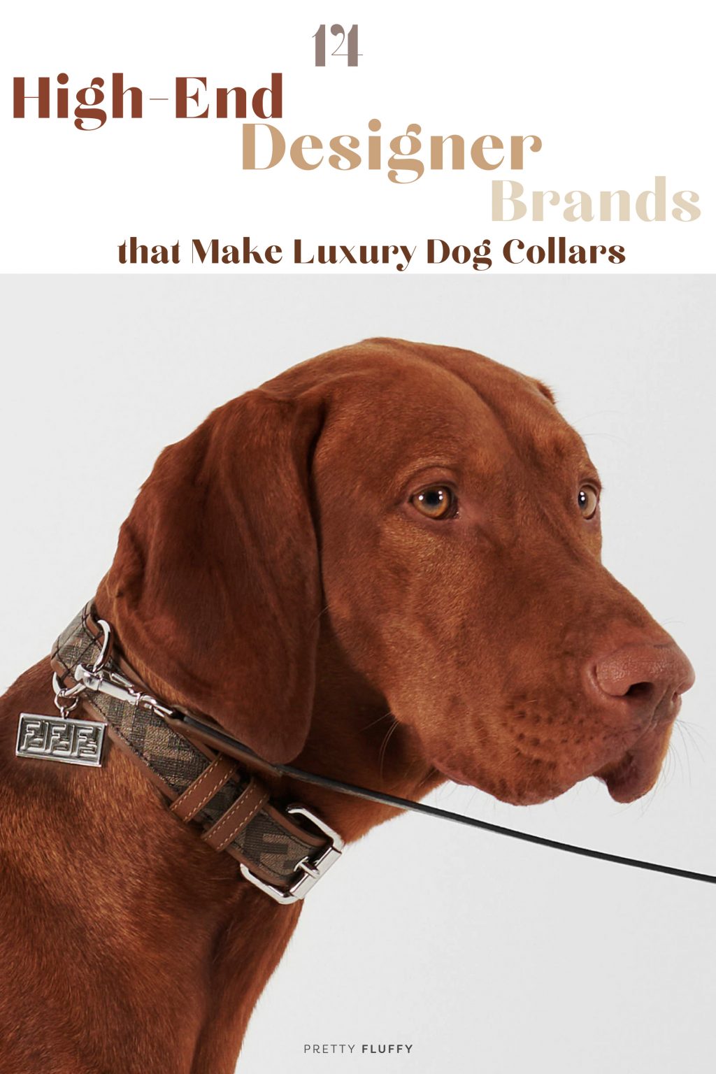Luxury Dog Leash Best Dog Collar Brands Top Rated Dog Collars