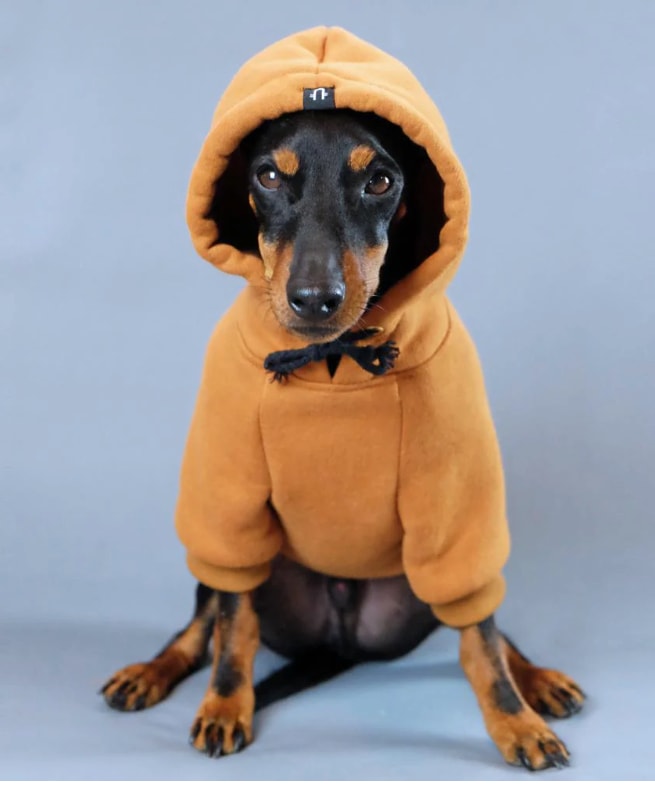 Pethaus dog hoodie