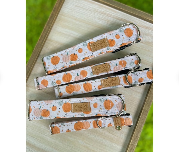 Watercolor Pumpkins Dog Collar - The Best Fall Dog Collars