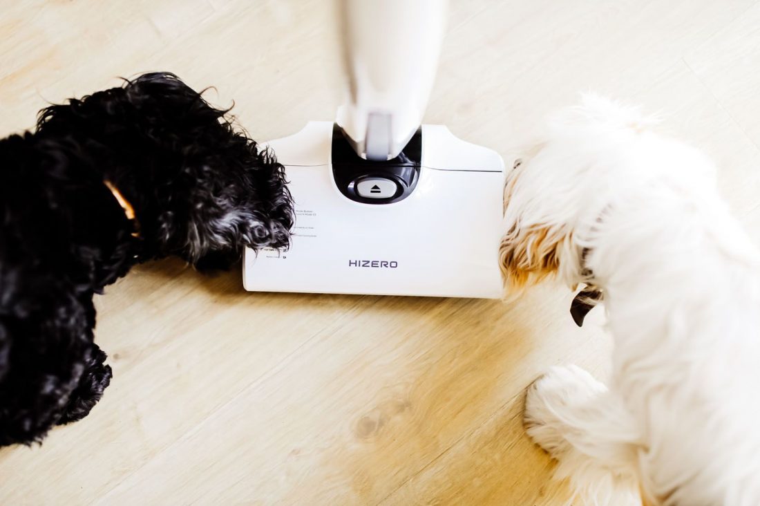 HIZERO Bionic Hard Floor Cleaner Review for Pet Parents (2024)