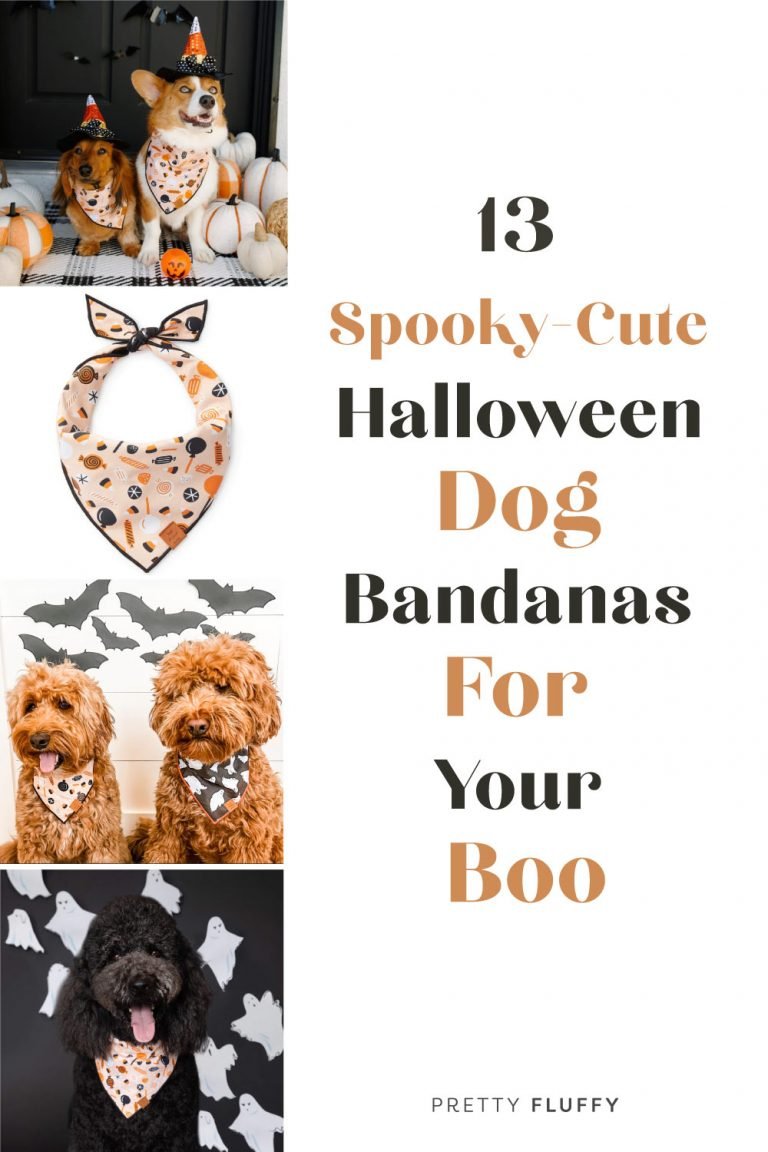 13 SpookyCute Halloween Dog Bandanas For Your Boo