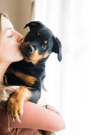 Cuddling with your puppy - 15 Tips to Bond With Your Puppy