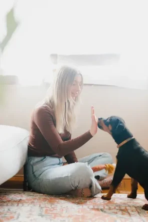 Training your puppy - 15 Tips to Bond With Your Puppy