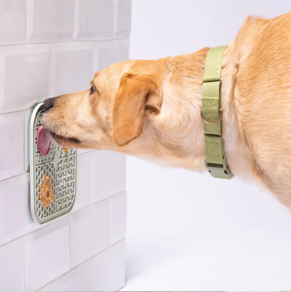 Awoo Pets Lick Mat for dogs who eat too fast