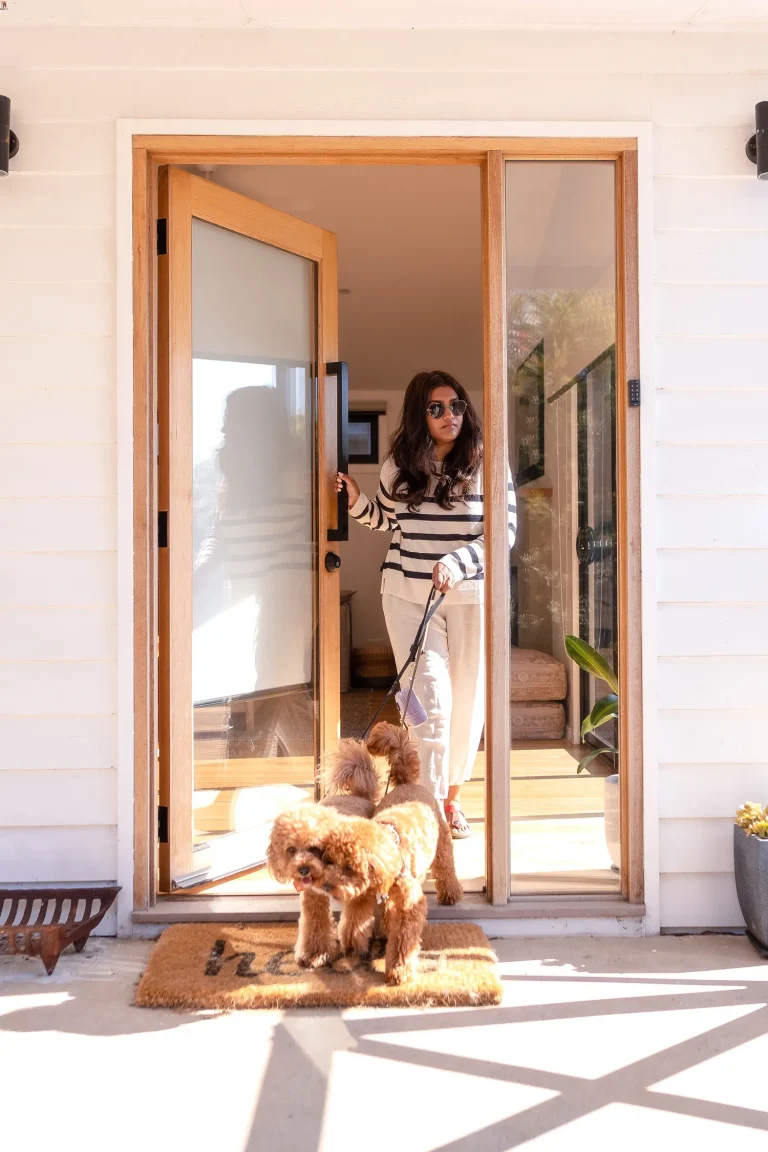 How Top Pet Influencers Iro, Ollie & Winky Hit 100K Instagram Followers