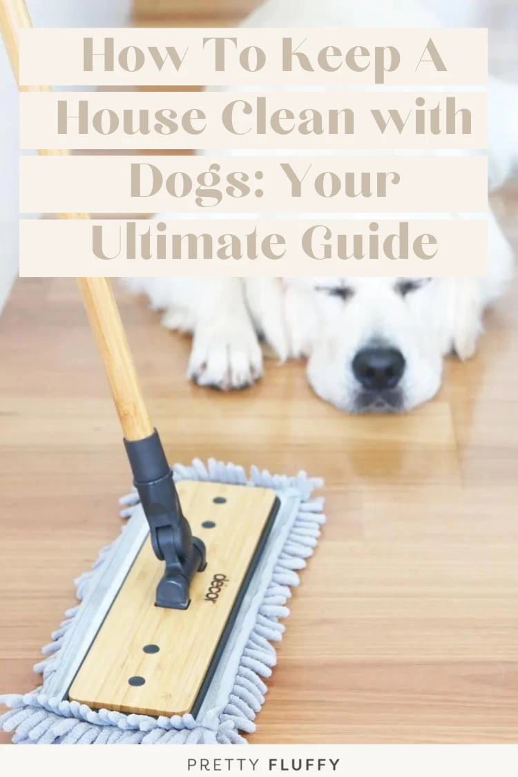 10 Tips for How to Keep Your House Clean With Dogs - Parsnips and Pastries