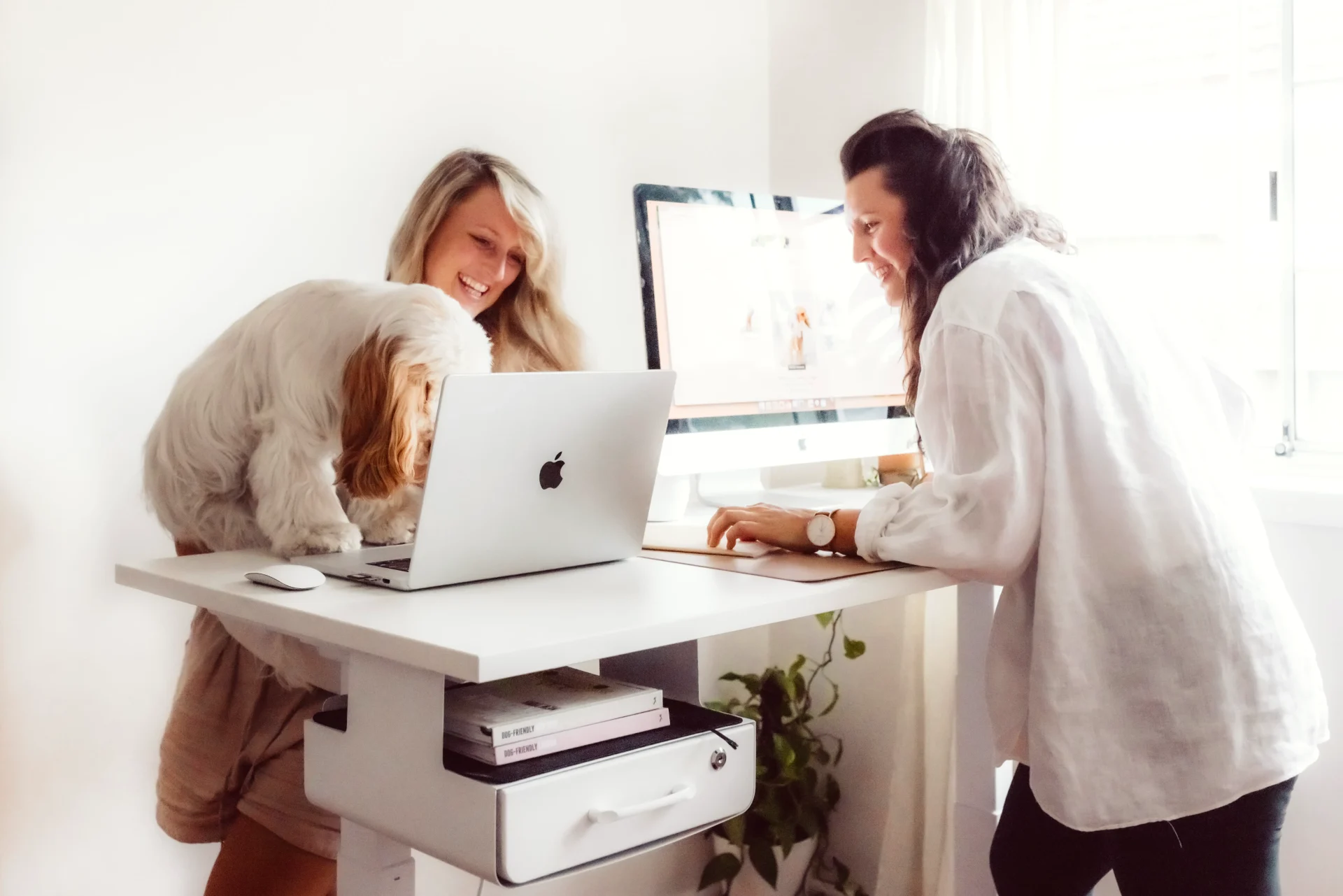 Our honest and personal review of UpDown Desk PRO Electric Standing Desk - a great home office desk