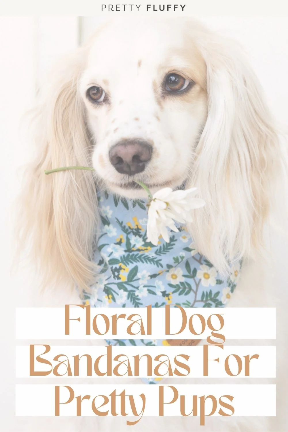 Fun & Floral Dog Harnesses & Dog Bandanas