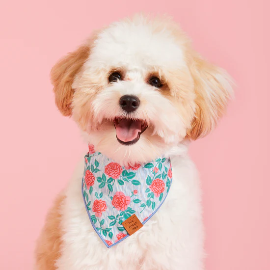 Rain Rose Dog Bandana by Foggy Dog