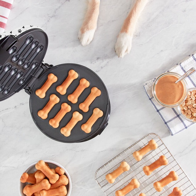 Dash Express Dog Treat Maker