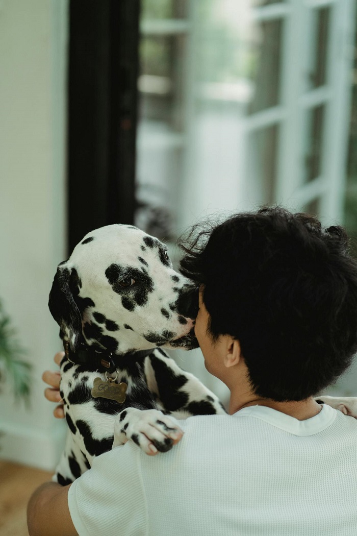 unique dog dad gifts