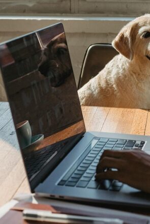 Take Your Dog to Work Day: 6 Reasons Dogs Make the Best Co-Workers