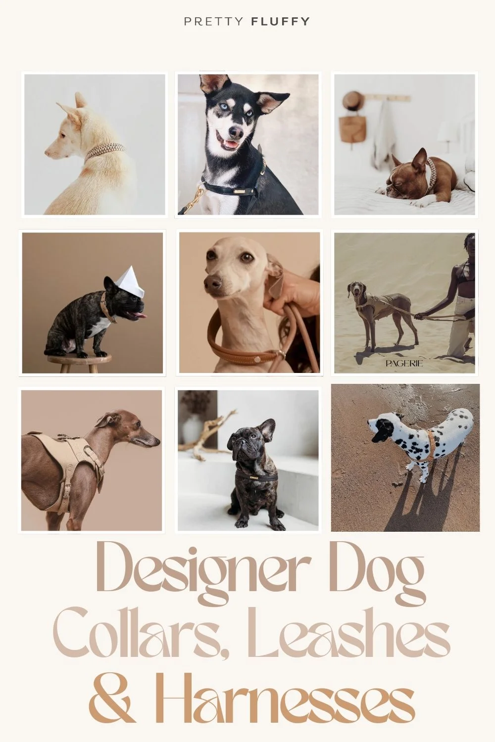 Editor's Picks 10 Designer Dog Collars, Leashes & Harnesses 