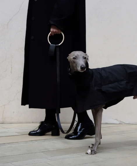 Boo Oh Editor's Picks- 10 Designer Dog Collars, Leashes & Harnesses