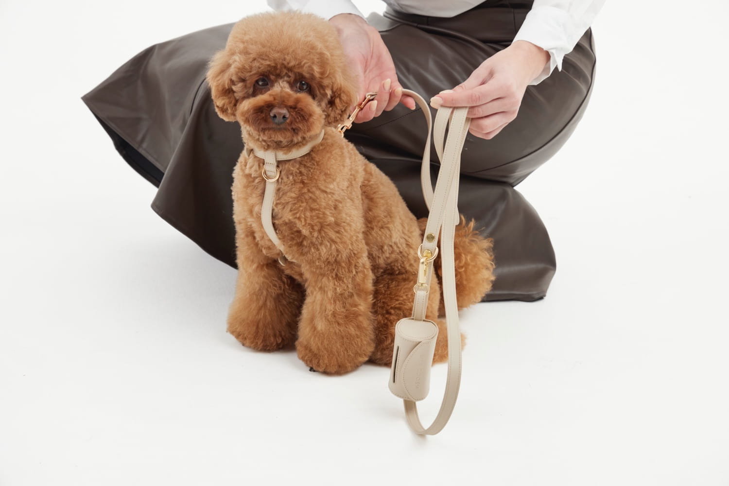 mia coosh dog collars featured on pretty fluffy - vanilla cream classic harness set