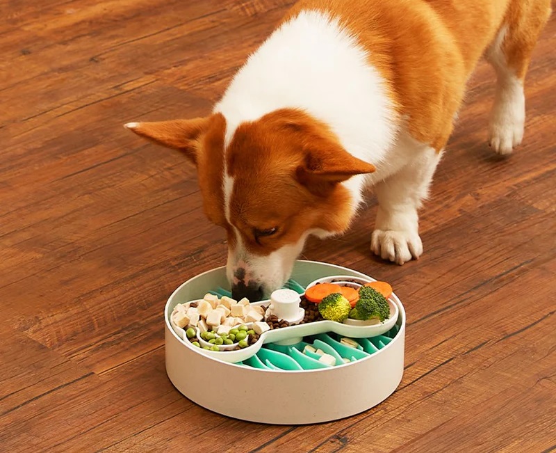 puzzle feeder for dogs