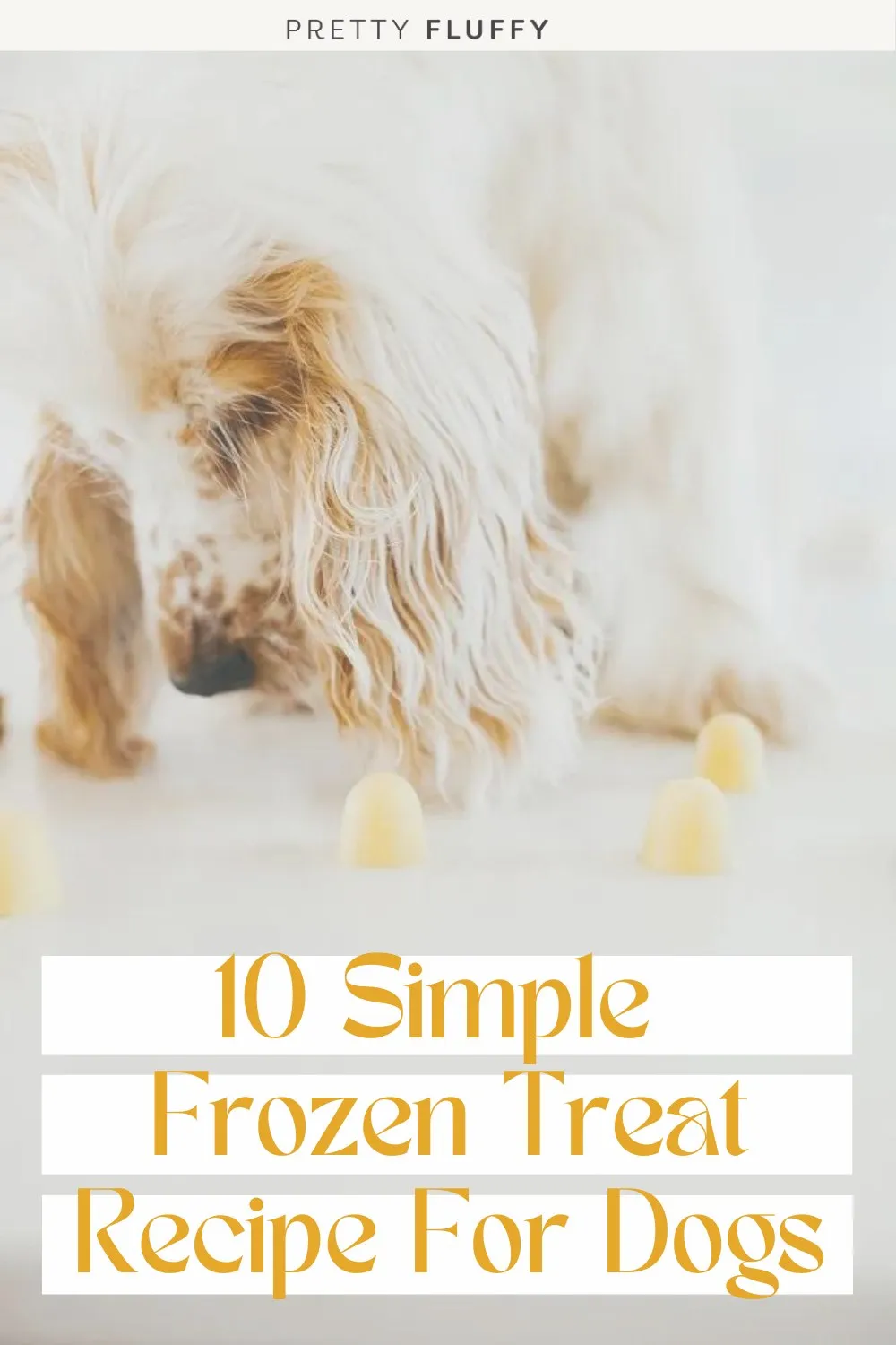 10 Frozen Dog Treat Recipes To Keep Your Pup Deliciously Cool
