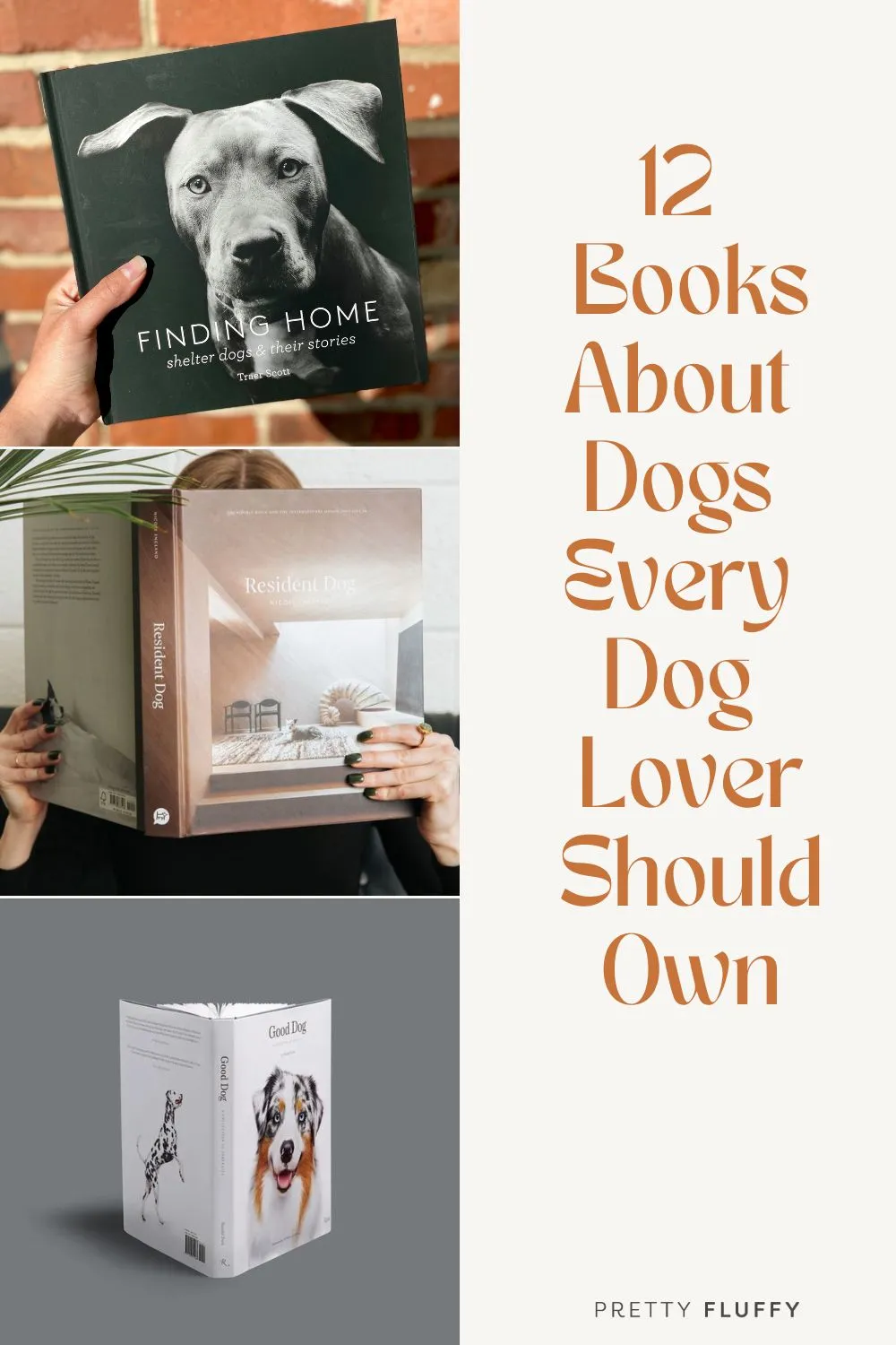 12 of the Best Books for Dog Lovers