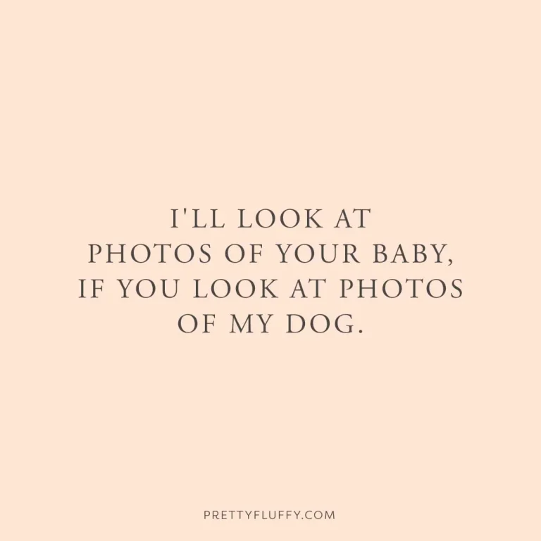 Funny Dog Quotes