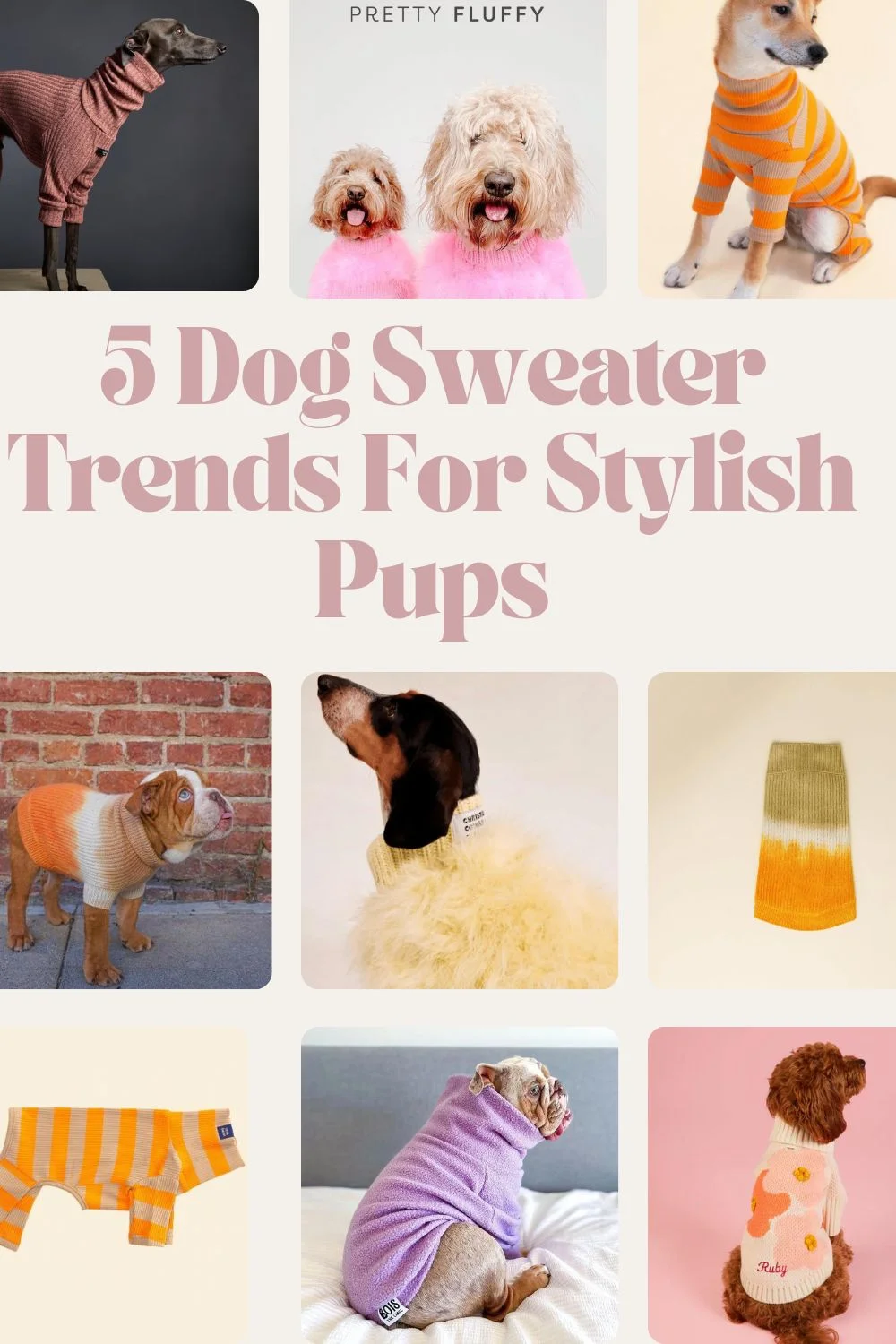 5 Dog Sweater Trends For Stylish Pups