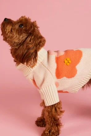 IN BLOOM SPRING DOG SWEATER BY THE FOGGY DOG