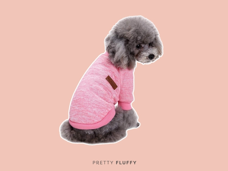 Jecikelon Dogs Sweater 