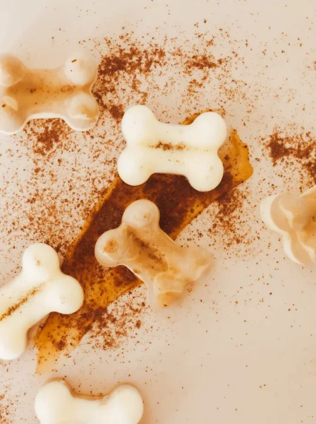 Peanut Butter DIY Probiotic Dog Treat Recipe