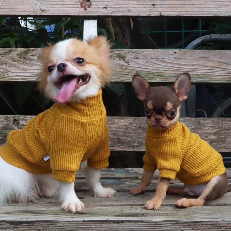 LOPHIPETS Small Dog Turtleneck Sweaters