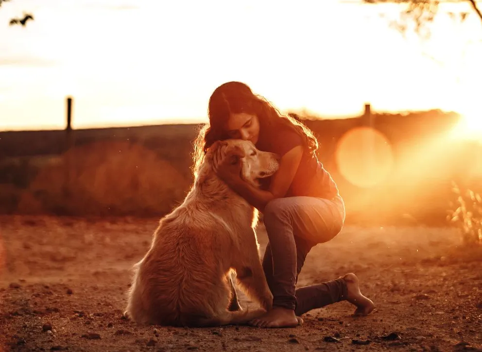 Woman hugging her dog at sunset