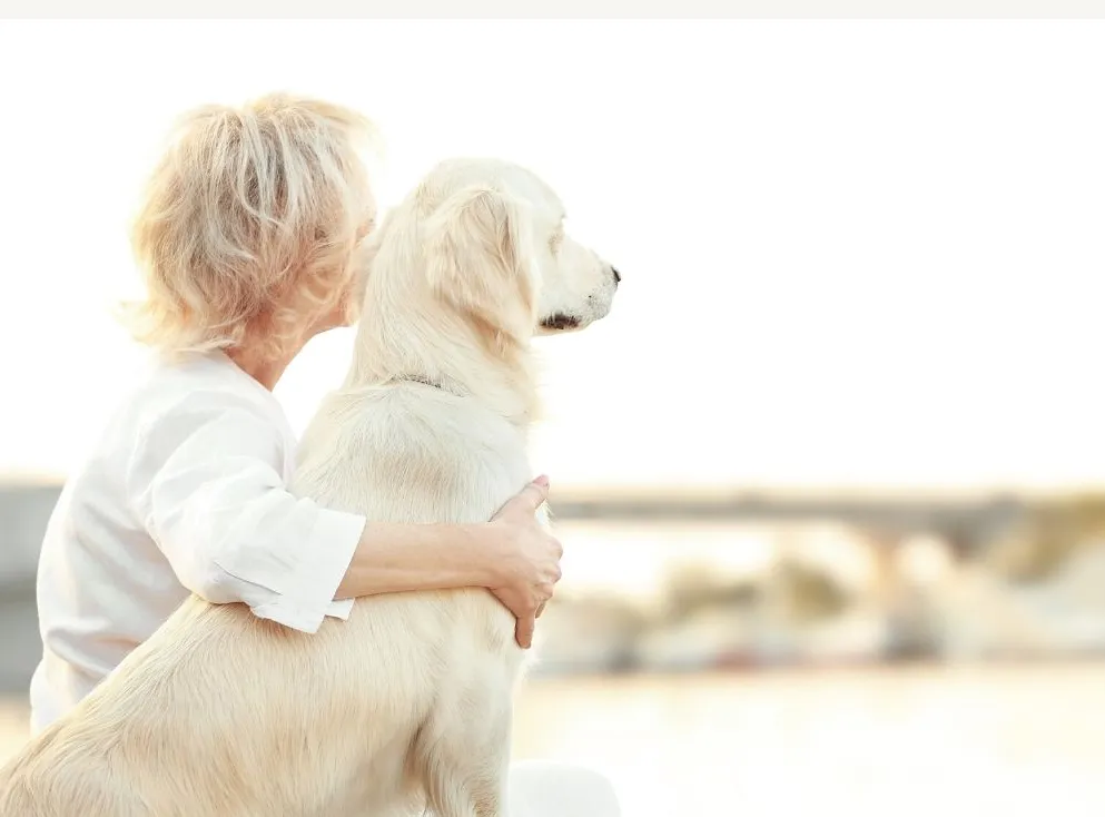 Pet parent hugging dog