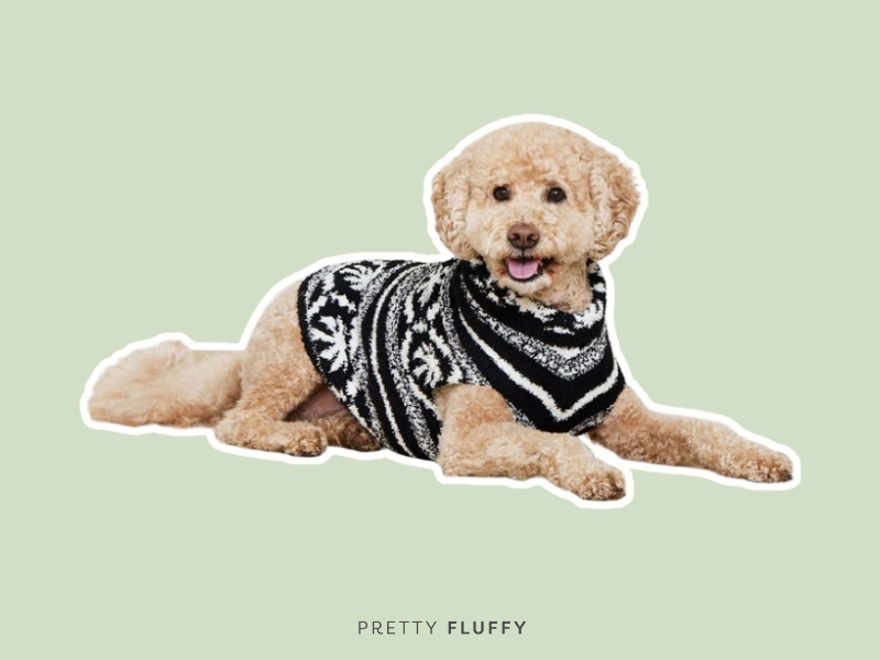 barefoot dreams Malibu Fair Isle Dog Sweater 