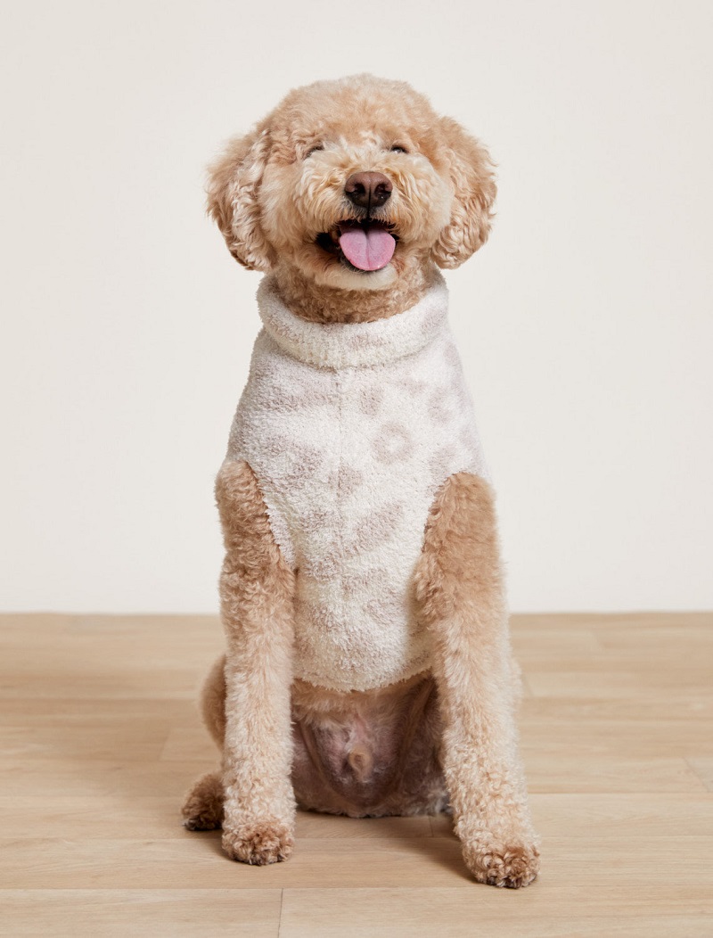 Barefoot Dreams CozyChic Barefoot in the Wild Dog Sweater 