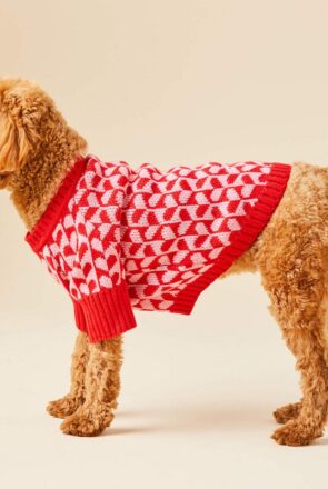 The Foggy Dog Heart Stripe Dog Sweater