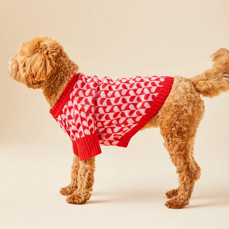 The Foggy Dog Heart Stripe Dog Sweater 