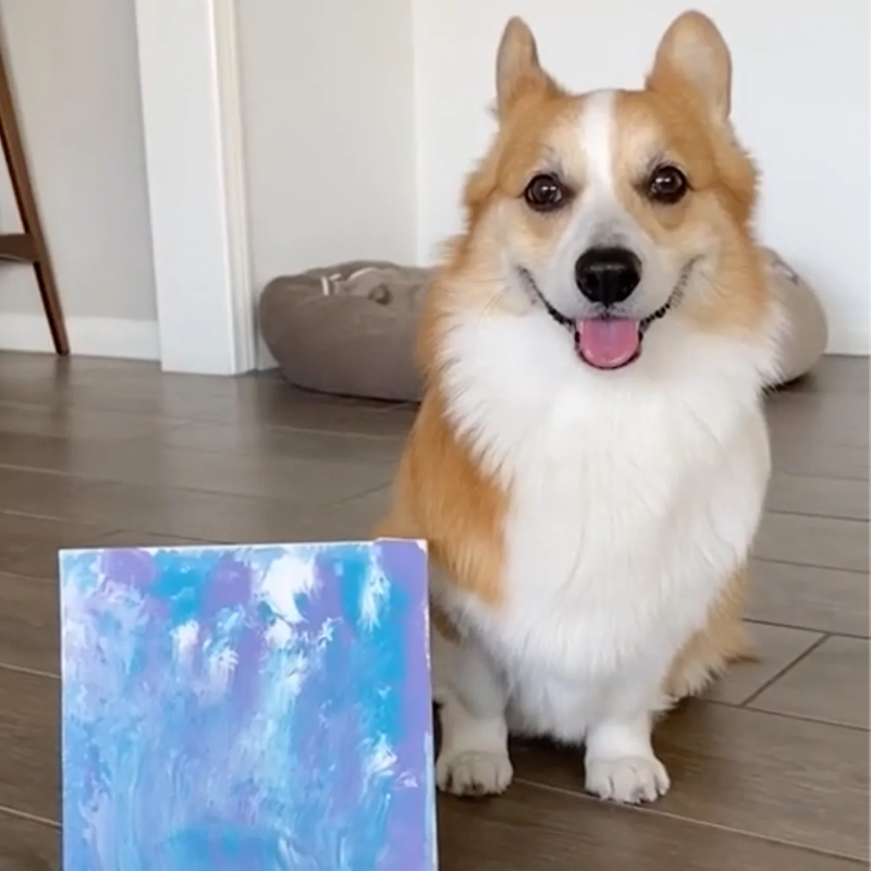 DIY dog painting challenge